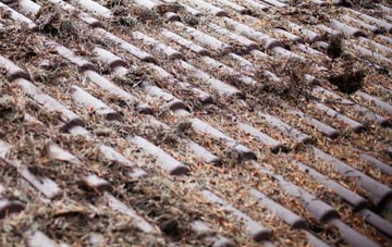 Edge Fold roof cleaning companies